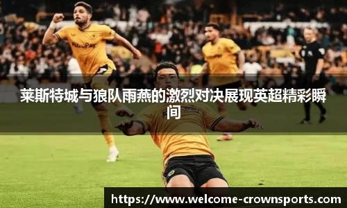 莱斯特城与狼队雨燕的激烈对决展现英超精彩瞬间